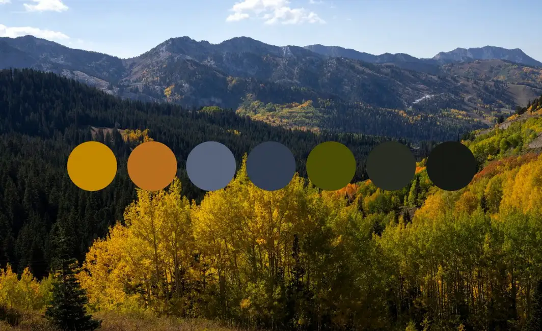 Bitkisel Bazlı Boyaların Çevreye Katkısı