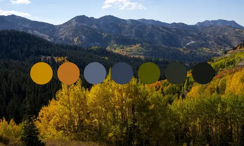 Bitkisel Bazlı Boyaların Çevreye Katkısı