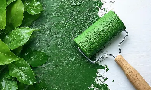 Geleceğin Boya Teknolojisi: Bitkisel ve Ekolojik Çözümler