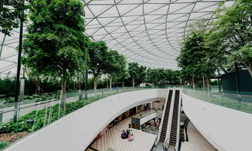 Sürdürülebilir Mimari Projelerde Çevre Dostu Boya Kullanımı