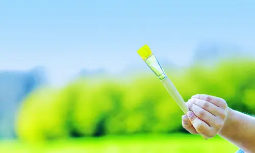 Sağlıklı İç Mekanlar İçin Doğal Boya Seçimi